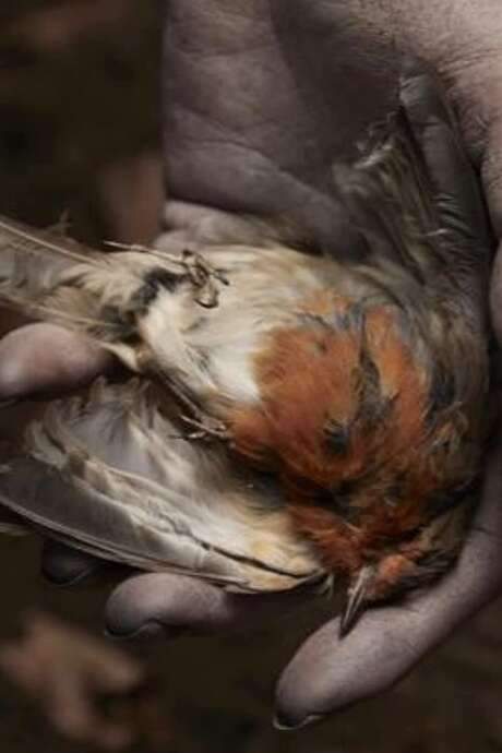 The Deathless Woman